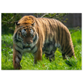 1058cf03-bd92-404c-848c-9c3b413e7545