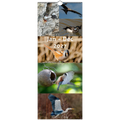 1fff019e-e47d-4925-8f79-a22b46b100c8