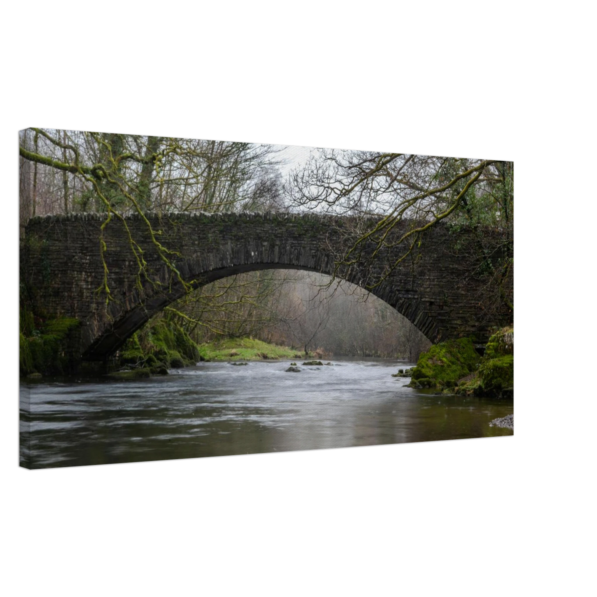 4027f072-86af-4580-a781-3b67a2fe94d8
