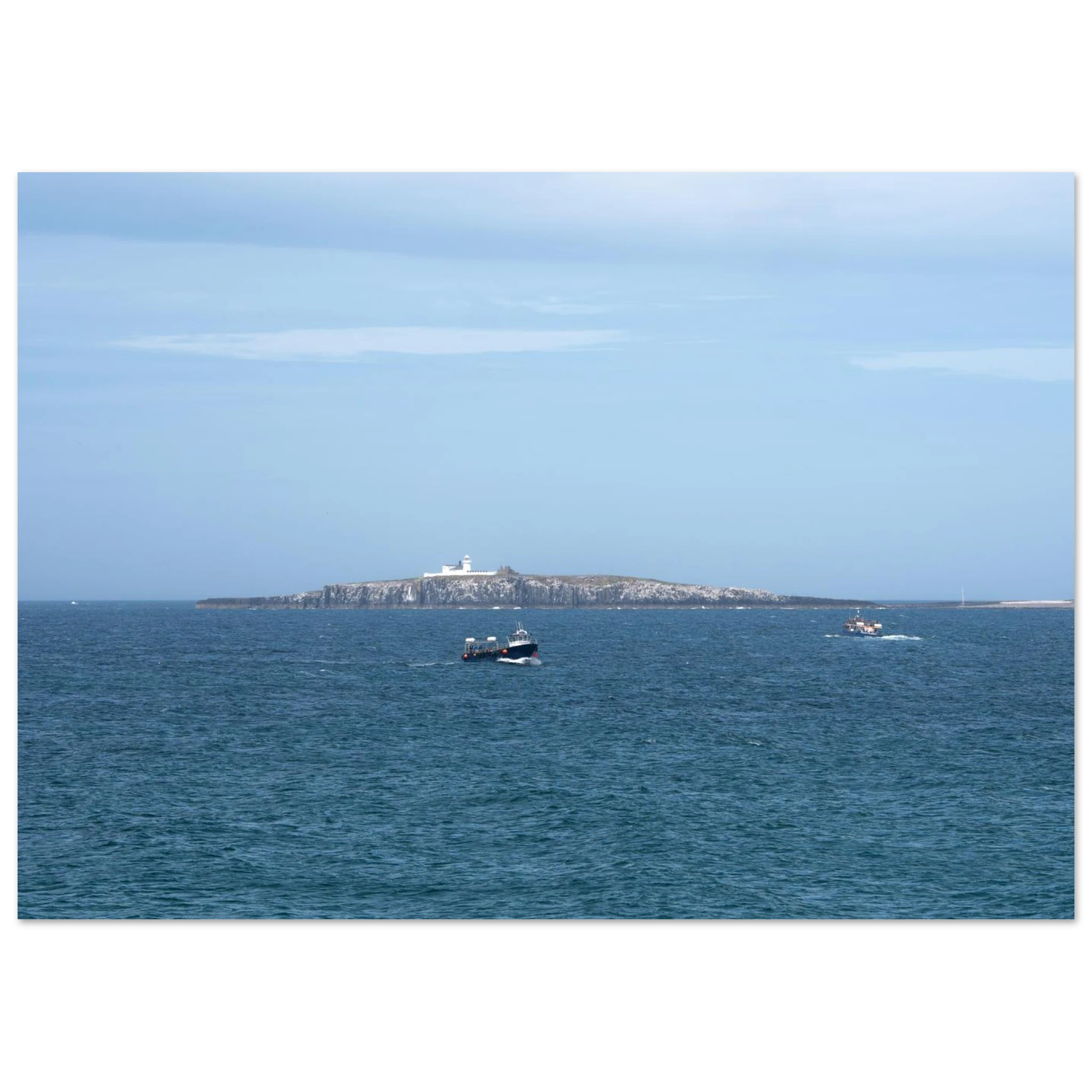 4295b458-c15d-4712-9c31-f3466578dea8