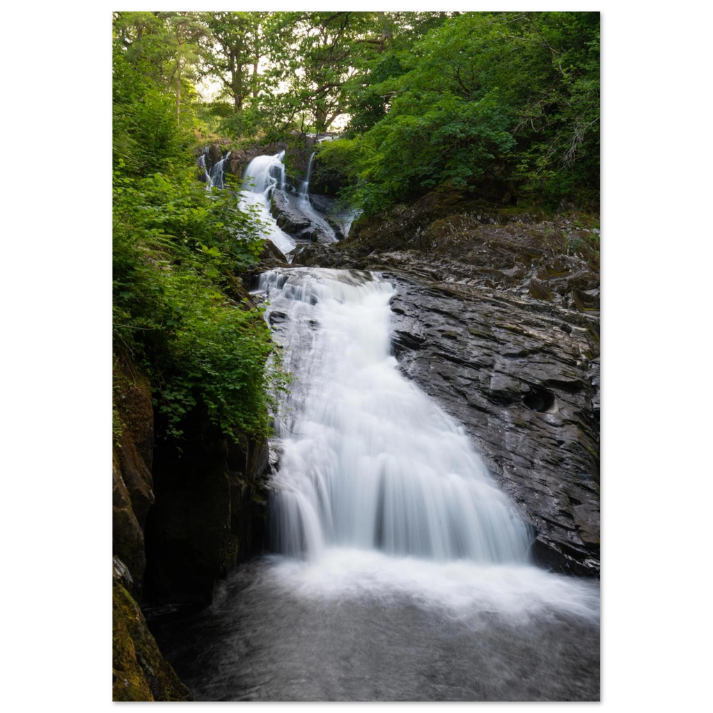 4d210937-7fcf-45ba-baa7-deaf6cdd5021
