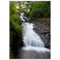 4d210937-7fcf-45ba-baa7-deaf6cdd5021