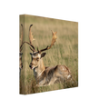 6cd1a63a-1dbd-477b-b0f3-5abba3e88204