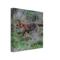 6e902dd1-4984-4abd-b4c0-dcac7b5b53e3