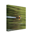 6f13e062-3976-4053-a6eb-94ed4a209eeb