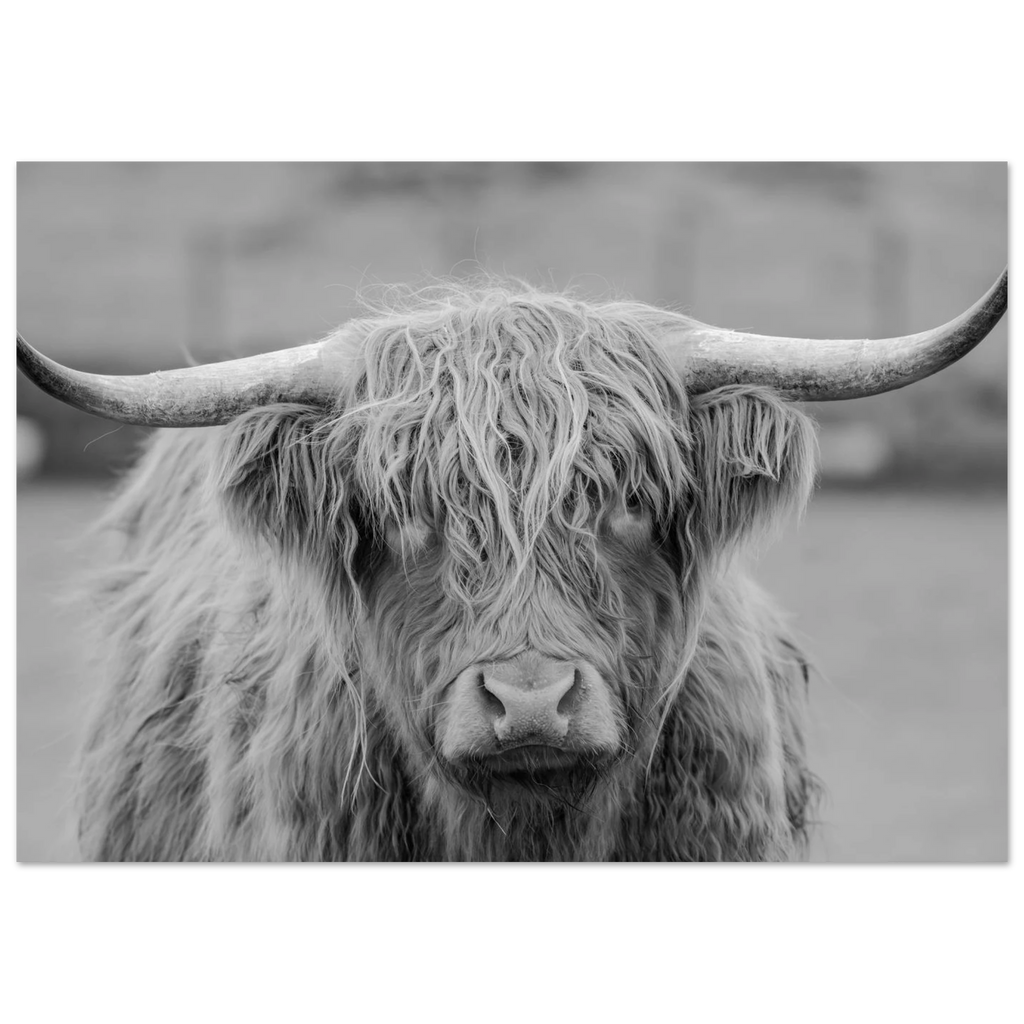 715b36d2-a7c4-42f2-8537-d0ab9d883f3e