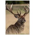 8e4c2017-2373-49f9-b7cd-bdf7426323fd