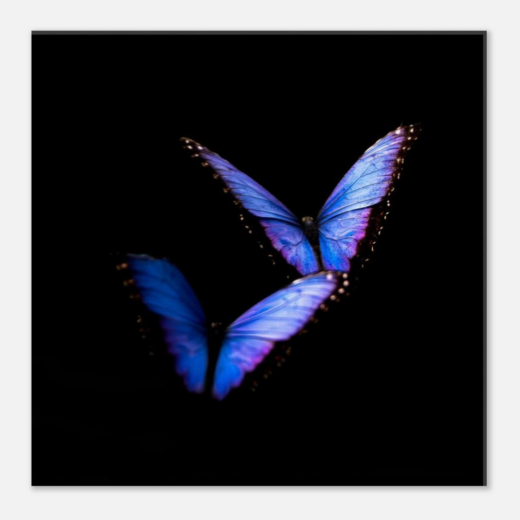 94b1ee00-8aa5-4631-87fd-f166a2089c88