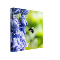 976f65b6-0d37-4de6-86ea-78cb1156e100