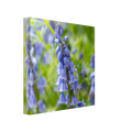 9aa53efb-0d01-4087-b3ec-e5919117b426