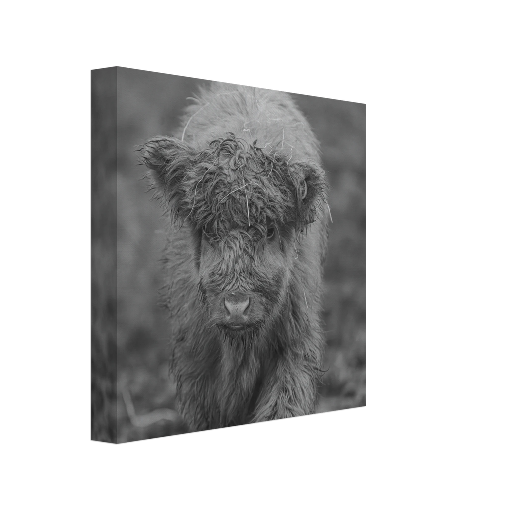 a7c46892-5097-4f06-980d-082b4a48f56b