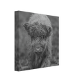a7c46892-5097-4f06-980d-082b4a48f56b