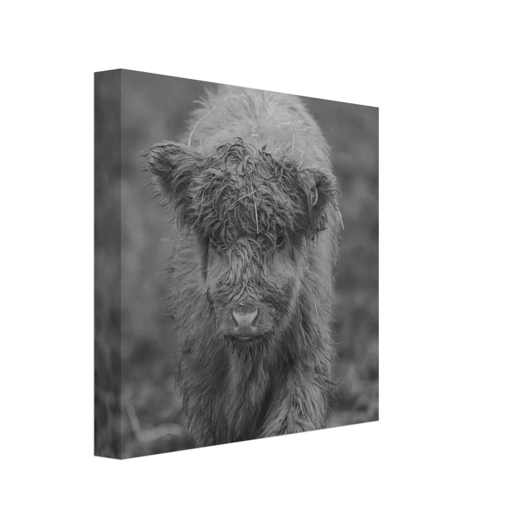 a7c46892-5097-4f06-980d-082b4a48f56b
