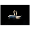 c0b10297-cd6e-430f-a6b5-05da38e0442a