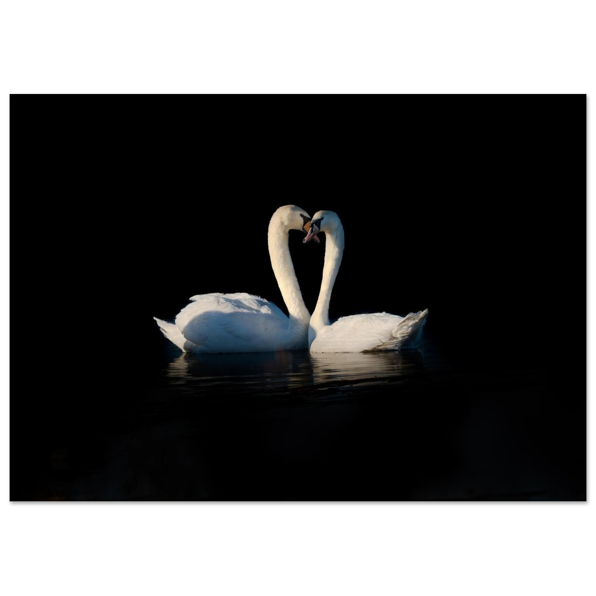 c0b10297-cd6e-430f-a6b5-05da38e0442a