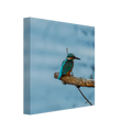 d657bfcb-316b-43d1-8da5-8cb144e9c67d