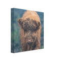 d96dbcc4-7bda-4679-b717-1f3bd26900db