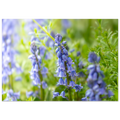 daa7c851-7ad3-4f3d-bc36-8e6438cf0134