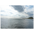 e32e2eb1-a3f8-4950-93b4-dfbbcd532af6